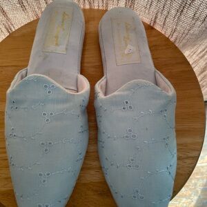 Vintage Elegant Light Blue Embroidered Slippers